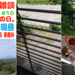 #ピクミンブルーム の動画です。初桜島！行くからチケット残しといて。その前に出発前 駐車場問題翌日バイオ別館に何があったのか聞いてもらう緊急ライブ。#コミュニティ・デイ 2日目【6日目 第20回 #ブラピクブル】