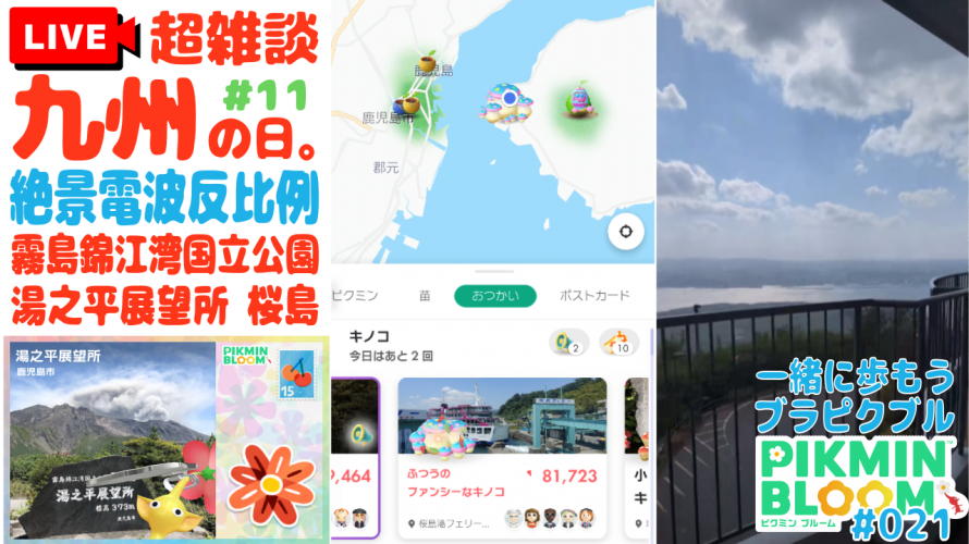 #ピクミンブルーム 絶景!湯之平展望所 桜島 フレンドさんのおすすめスポット! ビッグフラワーはありましたが電波はなし #パーティウォーク 鹿児島 #コミュニティ・デイ 2日目【6日目 第21回 ブラピクブル】