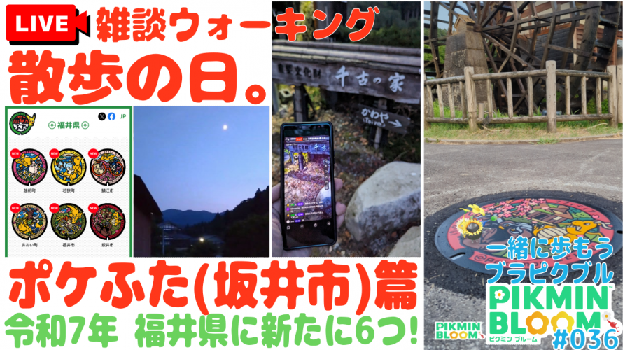 【世界最速】意外!千古の家。ピクミンブルームの ポケふた ポスカ探し (坂井市 カイリュー🦕マフィティフ🐶) 篇「たけだや~谷口屋~月」の巻【ど近所に新ポケふた第2弾 第36回ブラピクブル】