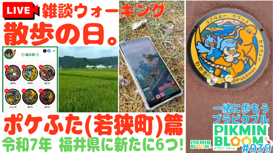【サプライズ世界最速！】ピクミンブルームの ポケふた ポスカ探し (若狭町 カイリュー🦕コアルヒー🦆クワッス🦆) 篇「下旬がもうあったポケふた！」の巻【ど近所に新ポケふた第4弾 第39回ブラピクブル】