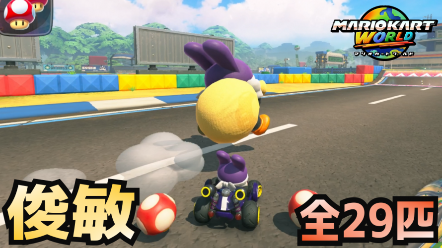 トッテン 居場所 全29匹【マリオカートワールド フリーラン 全コース 攻略】