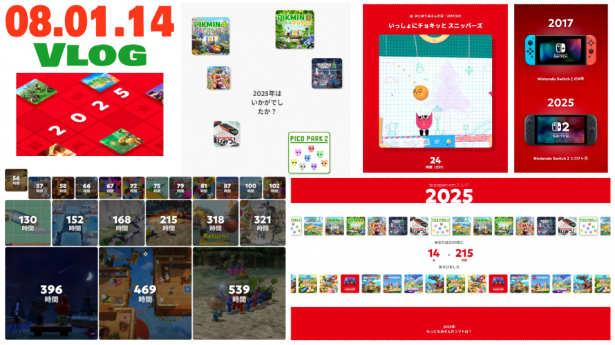 9年のきろく ノーカット振り返り「NintendoSwitch 2025年の振り返り ロンリーかつインディー」の巻【ただの日記その33】令和7年1月14日