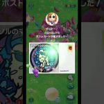 ポケふた アブソル ストーキング 篇 富山市 #ピクミンブルーム #ARポスカくじ Season9 第4回