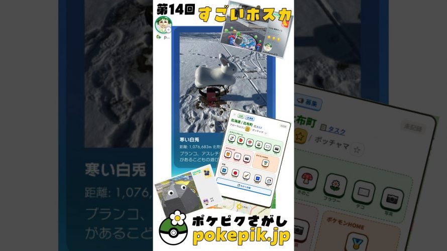 【レア & 映り込みver】#ピクミンブルーム ピックアップ すごいポストカード 📧 3種。第14回